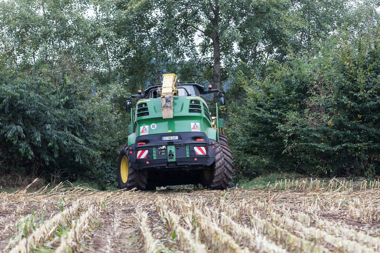 Bild 235 - Maisernte